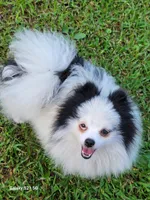 processed/2b3c004f-f618-4c8a-8c88-94484c0a8f71/listing/7a3eaa82-a6a7-45fb-8760-71d2f49d156c/0a154a17-f29a-42bc-9d50-a4735a564bda