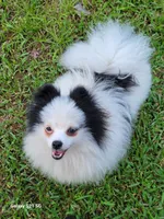 processed/2b3c004f-f618-4c8a-8c88-94484c0a8f71/listing/7a3eaa82-a6a7-45fb-8760-71d2f49d156c/8485f214-b31c-41cf-81d5-185c6557a0f2