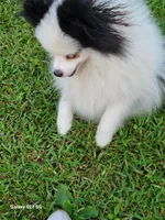 processed/2b3c004f-f618-4c8a-8c88-94484c0a8f71/listing/7a3eaa82-a6a7-45fb-8760-71d2f49d156c/d9388443-800e-43ba-a590-9ce4fc37cd8e