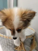 processed/2b3c004f-f618-4c8a-8c88-94484c0a8f71/listing/86e5542a-584d-4737-9b94-116961f90401/0e74695f-759c-4d1d-99b3-38f9eda4c6f6