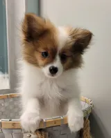 processed/2b3c004f-f618-4c8a-8c88-94484c0a8f71/listing/86e5542a-584d-4737-9b94-116961f90401/24a9788d-34c6-4c14-9522-d1dfe19b6e54