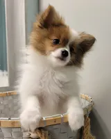 processed/2b3c004f-f618-4c8a-8c88-94484c0a8f71/listing/86e5542a-584d-4737-9b94-116961f90401/98ecd71d-5d22-4c5f-9bb2-4a1cbd75e059