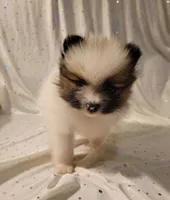 processed/2b3c004f-f618-4c8a-8c88-94484c0a8f71/listing/fd25356e-e4c0-4525-9c8f-a12860c32243/16c6e1ba-4d33-464a-adc5-43d21d392808