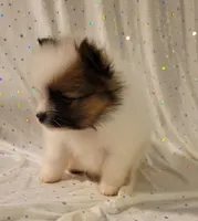 processed/2b3c004f-f618-4c8a-8c88-94484c0a8f71/listing/fd25356e-e4c0-4525-9c8f-a12860c32243/2e7273ab-ec67-475d-b6ac-a5f24f06a721