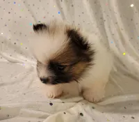 processed/2b3c004f-f618-4c8a-8c88-94484c0a8f71/listing/fd25356e-e4c0-4525-9c8f-a12860c32243/57ad6af0-7329-4acf-b0ba-869d245c30ca