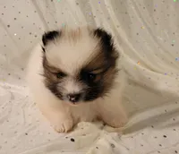 processed/2b3c004f-f618-4c8a-8c88-94484c0a8f71/listing/fd25356e-e4c0-4525-9c8f-a12860c32243/810c0c1c-4334-4129-99a3-69299d68b9c1