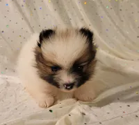 processed/2b3c004f-f618-4c8a-8c88-94484c0a8f71/listing/fd25356e-e4c0-4525-9c8f-a12860c32243/8f4f86de-4c19-49b5-9b15-8512f48ea981