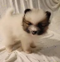 processed/2b3c004f-f618-4c8a-8c88-94484c0a8f71/listing/fd25356e-e4c0-4525-9c8f-a12860c32243/b20924f7-4af5-4ae1-928a-cb0d86c4df3f