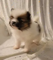 processed/2b3c004f-f618-4c8a-8c88-94484c0a8f71/listing/fd25356e-e4c0-4525-9c8f-a12860c32243/b6411250-af2c-44fe-8930-fb6d2f7c8f5f