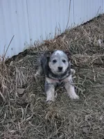 processed/2b3d64c2-e223-45e9-abe3-c8aad38734e3/listing/78a22779-a9e6-4aae-90b1-23a530c46324/0ace2003-a91b-4efc-93f9-d013e3f371ad