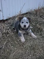 processed/2b3d64c2-e223-45e9-abe3-c8aad38734e3/listing/78a22779-a9e6-4aae-90b1-23a530c46324/3b20eed4-639f-4d10-8b01-4ec33bc5bdec