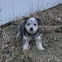 processed/2b3d64c2-e223-45e9-abe3-c8aad38734e3/listing/78a22779-a9e6-4aae-90b1-23a530c46324/6aabaf82-f2b1-4a41-a280-7245c50f1b5d