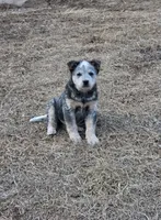 processed/2b3d64c2-e223-45e9-abe3-c8aad38734e3/listing/78a22779-a9e6-4aae-90b1-23a530c46324/872795fe-3fce-4a73-8863-5361830ba784