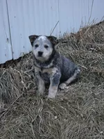 processed/2b3d64c2-e223-45e9-abe3-c8aad38734e3/listing/78a22779-a9e6-4aae-90b1-23a530c46324/db8641b8-af00-4b1b-8d7b-bbf1bf4399de