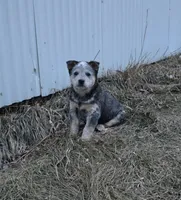 processed/2b3d64c2-e223-45e9-abe3-c8aad38734e3/listing/78a22779-a9e6-4aae-90b1-23a530c46324/eba2946b-b1f0-47a8-b468-655c34974a24