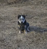 processed/2b3d64c2-e223-45e9-abe3-c8aad38734e3/listing/815a2c11-5972-4041-bb8f-f932d94c698f/04bc1cca-f739-4515-b7a5-0038a3276300