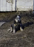 processed/2b3d64c2-e223-45e9-abe3-c8aad38734e3/listing/815a2c11-5972-4041-bb8f-f932d94c698f/b3dbef66-a049-413d-a000-97c0b6cb6b9c