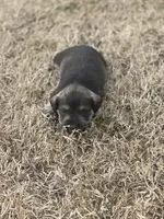 processed/2b3f8ef8-1edf-4c66-a38c-c1f3e6d4fa79/listing/34cd05df-6559-4310-a8b9-437c06b1f591/2f48a14b-00e7-4e78-96fd-592412b8ec67