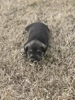 processed/2b3f8ef8-1edf-4c66-a38c-c1f3e6d4fa79/listing/34cd05df-6559-4310-a8b9-437c06b1f591/b042c2c4-fa73-4aa8-9ac3-3a1f6d834788