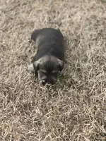 processed/2b3f8ef8-1edf-4c66-a38c-c1f3e6d4fa79/listing/34cd05df-6559-4310-a8b9-437c06b1f591/b89384cb-d1e5-47d2-8d38-641bb99cb4a2