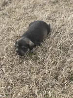 processed/2b3f8ef8-1edf-4c66-a38c-c1f3e6d4fa79/listing/34cd05df-6559-4310-a8b9-437c06b1f591/d8f0e1a3-66b9-4652-a679-f07de996c382