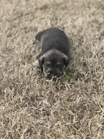 processed/2b3f8ef8-1edf-4c66-a38c-c1f3e6d4fa79/listing/34cd05df-6559-4310-a8b9-437c06b1f591/e3218472-baf0-4b80-96b5-1087b85e4034