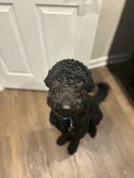 processed/2b453868-747a-4bc8-aae9-9e11539f1eb5/listing/758154ae-623f-4575-addf-668bcb0e5596/2de515cf-aac3-4d92-8f5b-46dfdd150716