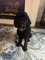 processed/2b453868-747a-4bc8-aae9-9e11539f1eb5/listing/758154ae-623f-4575-addf-668bcb0e5596/34f3b674-40f7-4108-a898-8f90e992df03