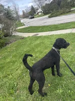 processed/2b453868-747a-4bc8-aae9-9e11539f1eb5/listing/758154ae-623f-4575-addf-668bcb0e5596/8a7e9e55-6615-482b-a3c5-9eafc0b23744