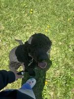 processed/2b453868-747a-4bc8-aae9-9e11539f1eb5/listing/758154ae-623f-4575-addf-668bcb0e5596/8c7af086-bbec-4810-9f03-8930610cff2e