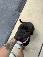 processed/2b453868-747a-4bc8-aae9-9e11539f1eb5/listing/758154ae-623f-4575-addf-668bcb0e5596/a8b6e509-e5e0-46aa-baa8-085ce51b6331