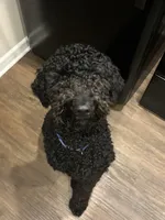 processed/2b453868-747a-4bc8-aae9-9e11539f1eb5/listing/758154ae-623f-4575-addf-668bcb0e5596/b5e9266e-9793-4fdb-954e-87666f6187cc