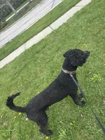 processed/2b453868-747a-4bc8-aae9-9e11539f1eb5/listing/758154ae-623f-4575-addf-668bcb0e5596/daf681a3-2f65-4b29-88cc-527b69fd8295