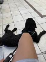 processed/2b453868-747a-4bc8-aae9-9e11539f1eb5/listing/758154ae-623f-4575-addf-668bcb0e5596/ff4ec9dc-dc1c-449c-9dad-4f763fa812ce