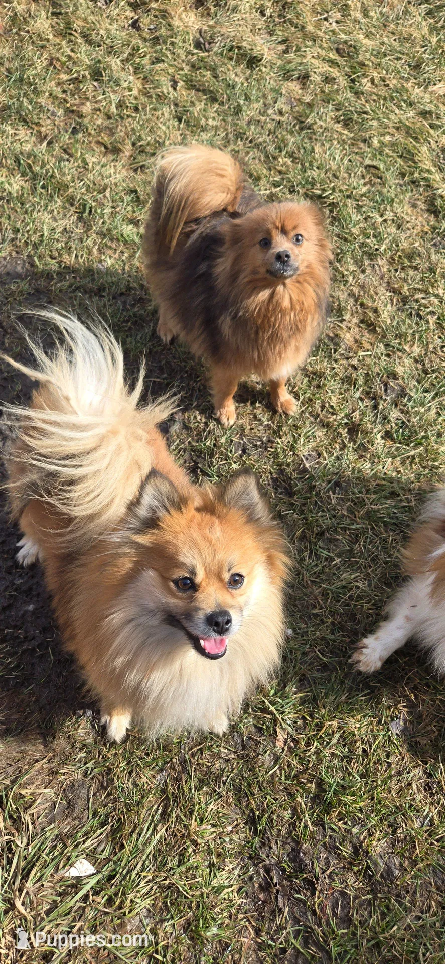 processed/2b532002-3d89-439b-88a8-0165ebc5e8ed/facility/3dee2e43-afa2-4f9b-bf70-419d4b1bfa66