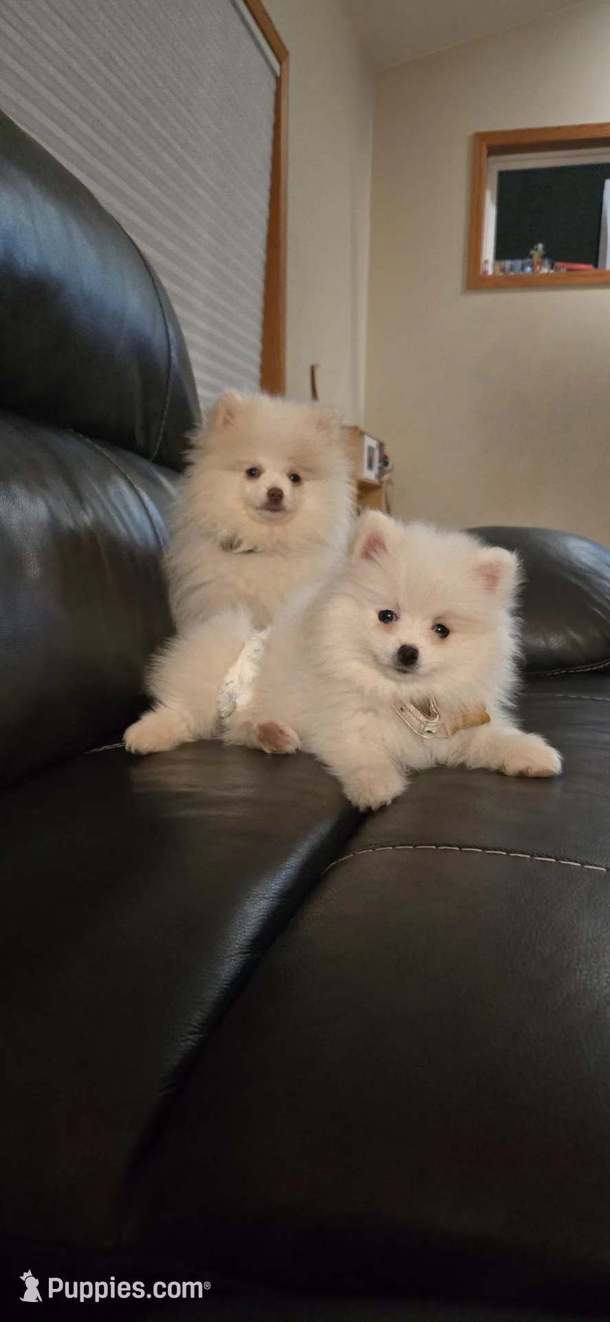 processed/2b532002-3d89-439b-88a8-0165ebc5e8ed/facility/864ec76f-7bdc-48c0-91fb-63248b11c23f