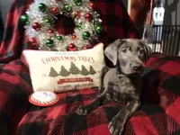 processed/2b7085d6-ff49-4127-a22f-fc77011aea76/listing/1af85efe-83d1-4dfa-8f7b-d84449b7548c/45345961-6ce2-4906-b78d-91147d783fca