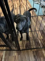 processed/2b7085d6-ff49-4127-a22f-fc77011aea76/listing/1af85efe-83d1-4dfa-8f7b-d84449b7548c/68152549-5ff3-4551-a33f-7ef48ab13e92