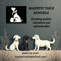 processed/2b7085d6-ff49-4127-a22f-fc77011aea76/listing/1af85efe-83d1-4dfa-8f7b-d84449b7548c/6f8805f7-2b8a-4a8c-a217-c4edb0d03284