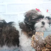 processed/2b772121-3985-419c-84ca-6e310a54ce7f/facility/1ea6e868-d2ff-454e-9740-b7e3bcea6c70