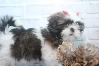 processed/2b772121-3985-419c-84ca-6e310a54ce7f/facility/1ea6e868-d2ff-454e-9740-b7e3bcea6c70