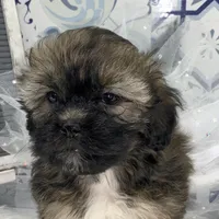 processed/2b772121-3985-419c-84ca-6e310a54ce7f/facility/22591e5c-df2f-4480-b359-85359e50703d