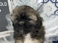 processed/2b772121-3985-419c-84ca-6e310a54ce7f/facility/22591e5c-df2f-4480-b359-85359e50703d