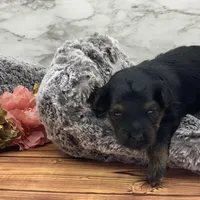 processed/2b772121-3985-419c-84ca-6e310a54ce7f/facility/3a5bc657-82d1-4b24-a19f-181b113a0939