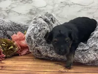 processed/2b772121-3985-419c-84ca-6e310a54ce7f/facility/3a5bc657-82d1-4b24-a19f-181b113a0939