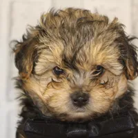 processed/2b772121-3985-419c-84ca-6e310a54ce7f/facility/65301e56-7b99-4e28-84a4-a017d3c68960