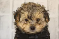 processed/2b772121-3985-419c-84ca-6e310a54ce7f/facility/65301e56-7b99-4e28-84a4-a017d3c68960