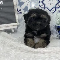 processed/2b772121-3985-419c-84ca-6e310a54ce7f/facility/82042608-a1fc-454a-8cc2-12776ec306fb