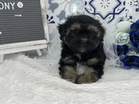 processed/2b772121-3985-419c-84ca-6e310a54ce7f/facility/82042608-a1fc-454a-8cc2-12776ec306fb