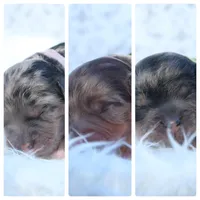 processed/2b772121-3985-419c-84ca-6e310a54ce7f/facility/a202ade6-29e7-450f-a7b1-4cf080e9d4c1